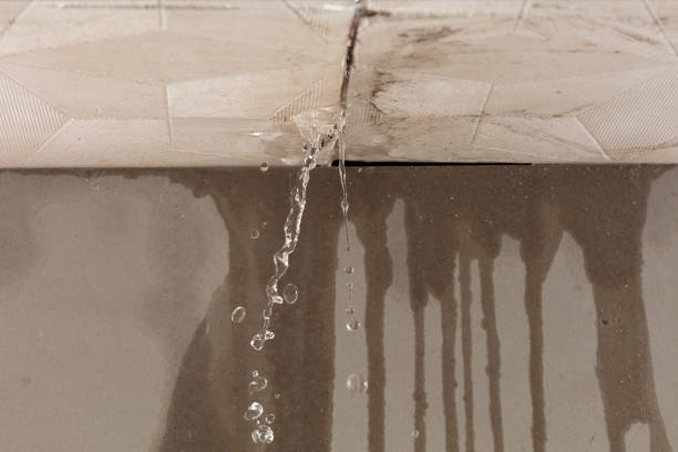 Professional Water Damage Repair technician working in Columbus, WI